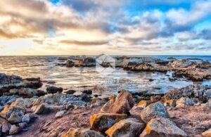 17 MILE DRIVE - EHPhotoFX