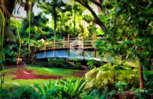 Bridge Botanical Gardens - EHPhotoFX