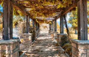 Cluff Park - EHPhotoFX