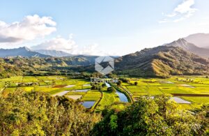Hanalei National Wild Refuge - EHPhotoFX