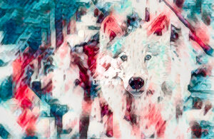 Wolfs - Branson MO - EHPhotoFX