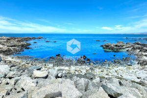 Andy Jacobsen Park - Pacific Grove CA - EHPhotoFX