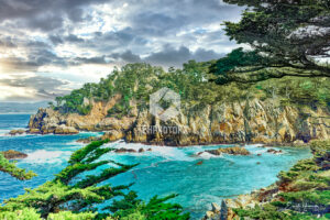 Cove - Point Lobos CA - EHPhotoFX