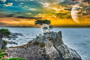 Lone Pine - Pebble Beach CA - EHPhotoFX