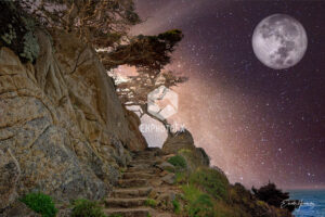 Point Lobos Staircase - Point Lobos CA - EHPhotoFX