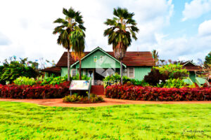 Botanical Gardens - Kauai HI - EHPhotoFX