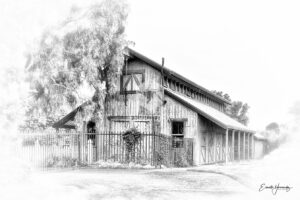 Maravilla Gardens BW - Camarillo CA - EHPhotoFX