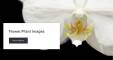 Flower/Plant Images